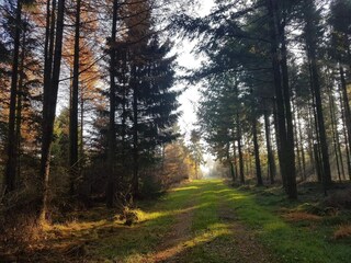 Maison de vacances Arrild  18