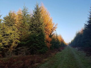 Casa de vacaciones Arrild  34