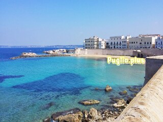 Appartement Taviano Environnement 32