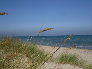 8 km Sandstrand die "Schaabe"