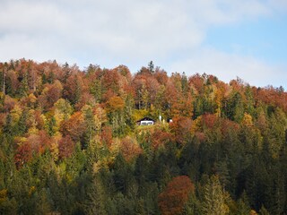 Maxhütte 10 Min. vom Haus aus