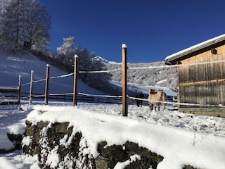 Ferienhaus Rennweg am Katschberg Außenaufnahme 6