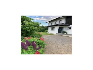 Ferienhaus Rennweg am Katschberg Außenaufnahme 7