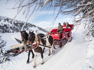 Ferienhaus Rennweg am Katschberg Umgebung 33