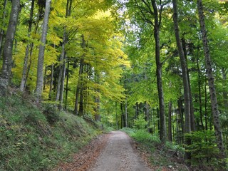 Appartamento per vacanze La Vancelle Ambiente 14