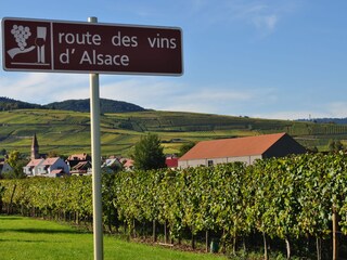 Appartamento per vacanze La Vancelle Ambiente 20