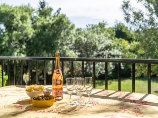Villa Félines-Minervois  40