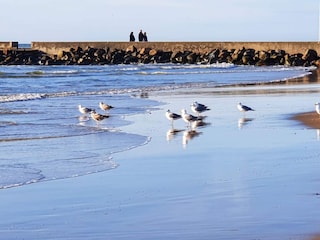 Maison de vacances Løkken  6