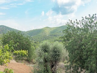 Villa Sant Joan de Labritja Environment 34