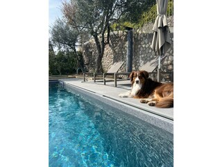 Vakantiehuis Cavaion Veronese Buitenaudio-opname 7