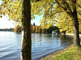 Ufer am Bodensee