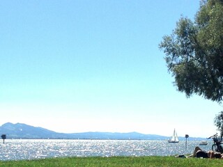 Blick auf den See