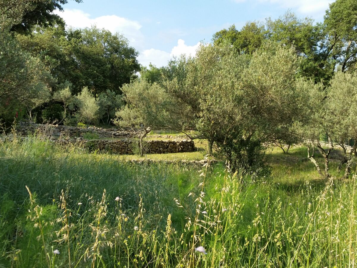 Blick in den Garten