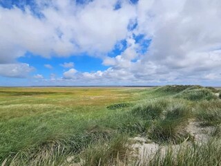 Maison de vacances Havneby  49