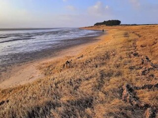 Maison de vacances Havneby  31