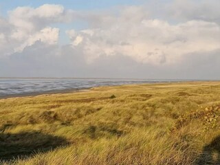 Vakantiehuis Havneby  32