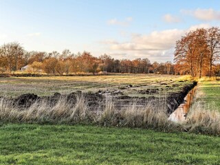 Maison de vacances Læsø  17
