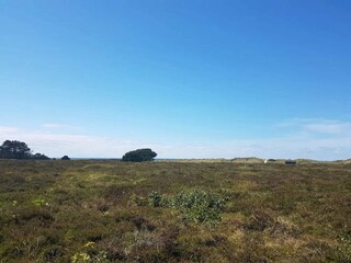 Vakantiehuis Læsø  33