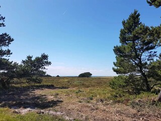 Vakantiehuis Læsø  21