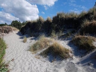 Vakantiehuis Læsø  22