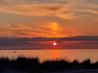 Vakantiehuis Læsø  3