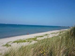 Maison de vacances Læsø  24