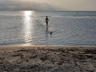Vakantiehuis Læsø  9