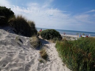 Vakantiehuis Læsø  27