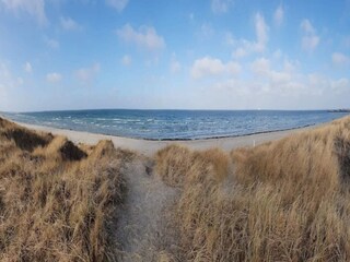 Maison de vacances Læsø  23