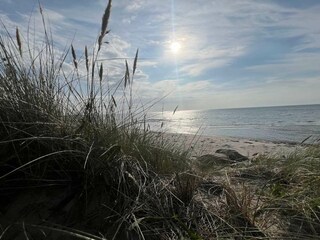 Vakantiehuis Læsø  31