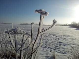 Winterstimmung in Angeln..