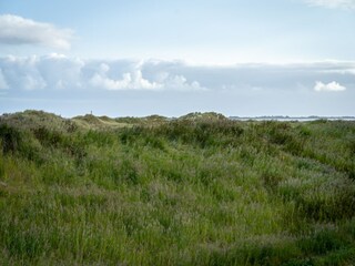Appartement St. Peter-Ording Buitenaudio-opname 3