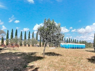 Casa per le vacanze Santa Luce Registrazione all'aperto 5