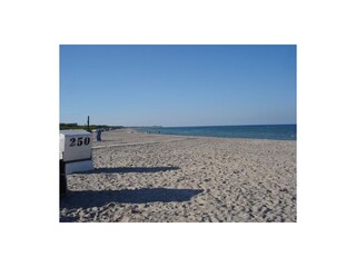 Strand im Frühling