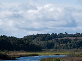 Casa de vacaciones Gjern  11