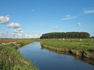 Apartment Nieuwmunster Umgebung 25