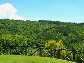 Casa per le vacanze San Giustino Registrazione all'aperto 5