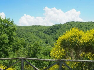 Vakantiehuis San Giustino Buitenaudio-opname 8