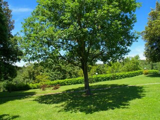 Casa de vacaciones San Giustino Grabación al aire libre 10