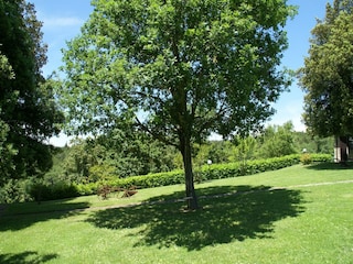 Ferienhaus San Giustino Außenaufnahme 8