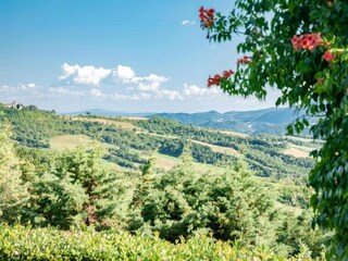 Villa Umbertide Environnement 32