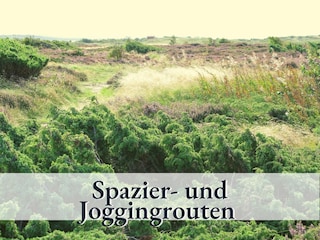 Spazier und Wanderwege