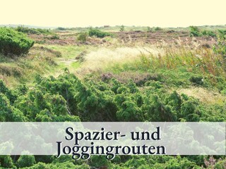 Spazier und Wanderwege