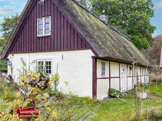 Ferienhaus Læsø  30