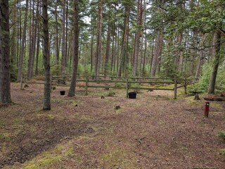 Maison de vacances Læsø  16