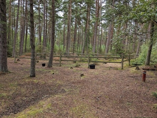 Vakantiehuis Læsø  16