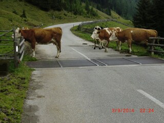 Casa per le vacanze Patergassen Ambiente 29