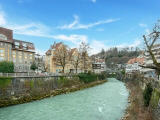 Ferienhaus Feldkirch Umgebung 34