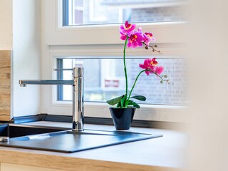 Apartamento de vacaciones Aurich Características 12