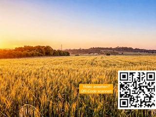 Video ansehen? Einfach QR - Code scannen